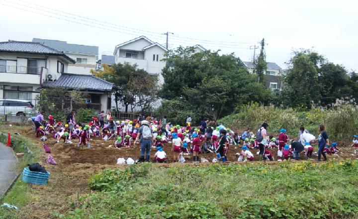 国分寺台幼稚園の求人（千葉県・幼稚園教諭）| スリーサイズダイレクト