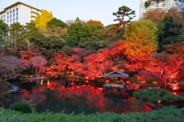 「庭の声を聞く」- 八芳園リニューアルに学ぶ、伝統と革新を両立させる現場力