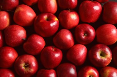 建設業の現場に役立つ「認知症予防とりんごの効能」