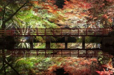 アートを支える現場の力！あいちトリエンナーレと瀬戸市の建設業