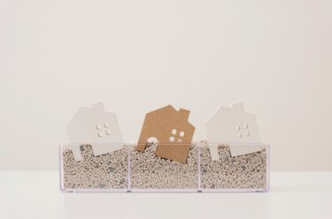 新潟市が街区液状化対策室を設置！地震リスクに備える住民支援の最前線