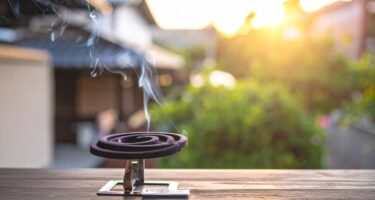 刺されると地味にキツい！夏の“現場虫”完全ガイド