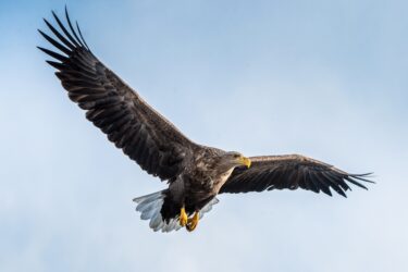 注意喚起！釧路湿原メガソーラー建設の「やりすぎリスク」を考える