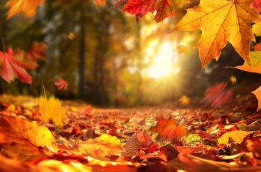 秋の乾燥シーズンを味方に！建設現場の粉塵＆静電気対策グッズ