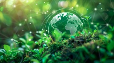 国際園芸博覧会を支える「木」と「知恵」：建設現場の生産性を高める環境技術とDX活用術