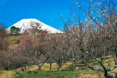 裾野市が描く「新時代の開発事業」：大規模土地活用とドローン技術導入の最新動向