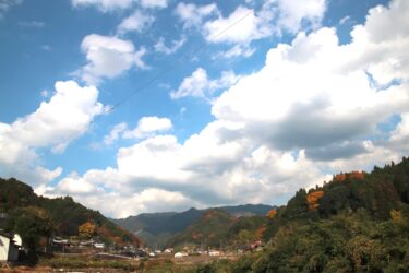日本道路×東峰村の森づくり：現場でも使える環境配慮アイデア🌲