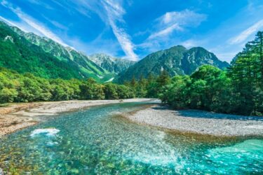 卵形消化タンク最新施工現場を徹底公開！大型型枠で工期短縮＆施工性向上🛠️