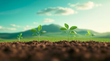 🔥焼けた山を、未来の資産へ！森林再生プロジェクトが示す“建設業の新しい公共工事”