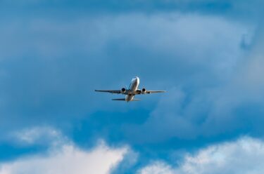 空調設備技術が切り拓く鮮魚輸送の革新と異業種連携の可能性