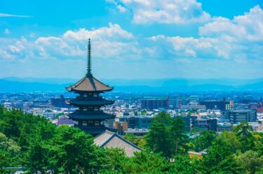 奈良県立美術館が再整備へ！建設業者にとっての“10年プロジェクト”の可能性とは