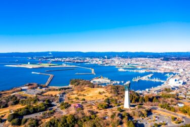 🌲国産材時代が本格化！東日本最大級の木材工場が稼働―現場に広がる新たなビジネスチャンスとは？